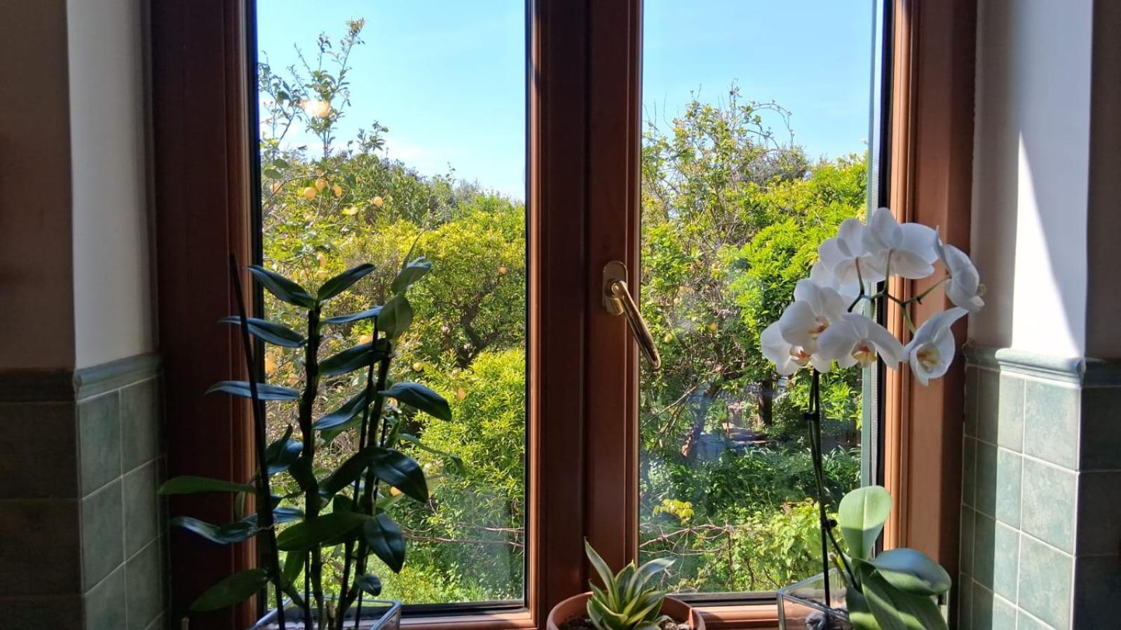 Il Giardino Dei Gigli Lägenhet Meta Exteriör bild