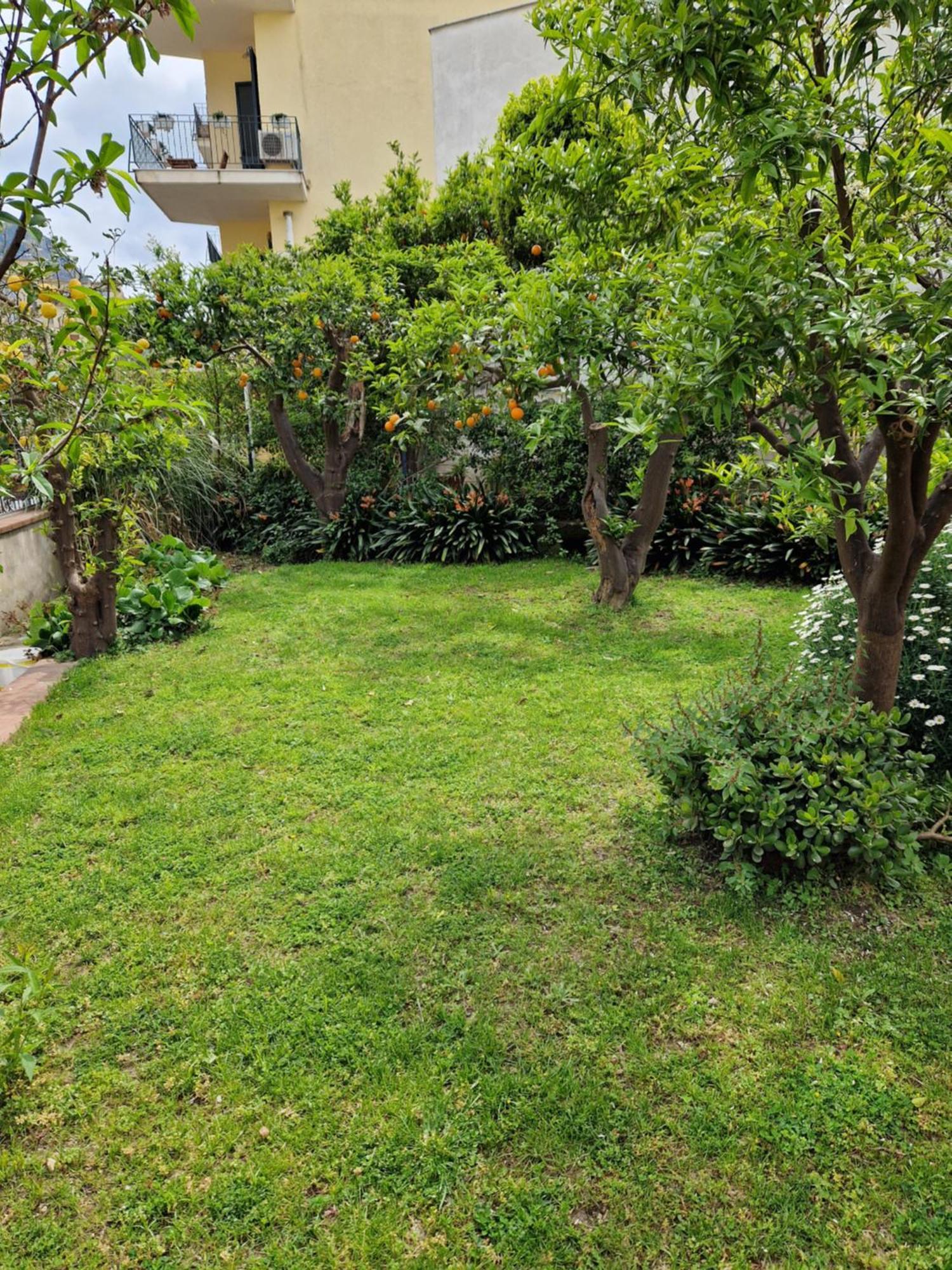 Il Giardino Dei Gigli Lägenhet Meta Exteriör bild
